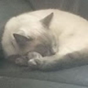 Meet your Posher, Jenn